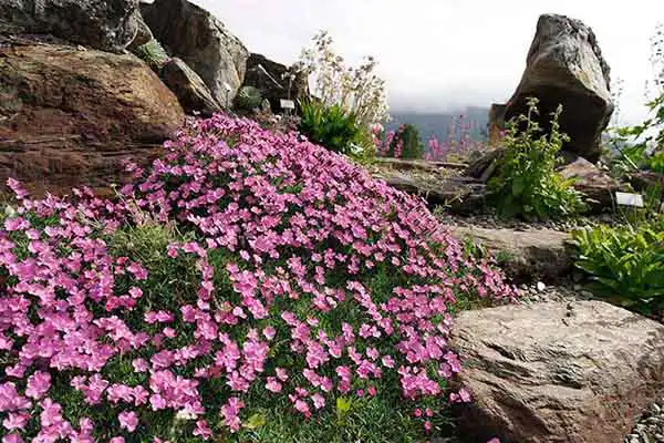 Botanische Gärten in Norwegen Botanische Gärten in Norwegen